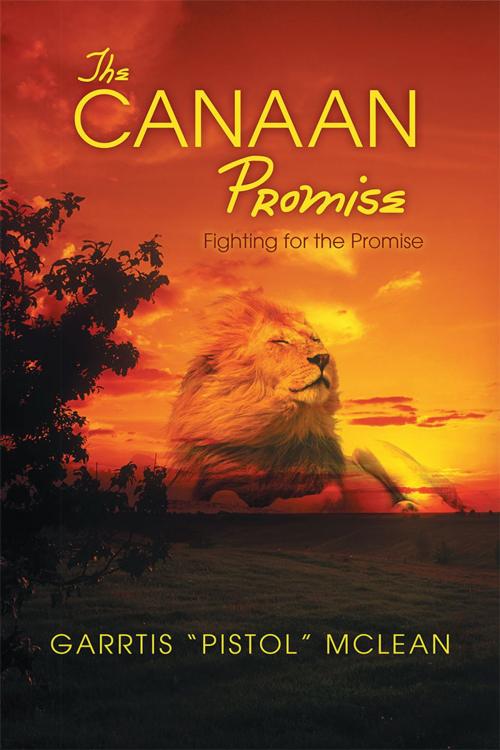 Cover of the book The Canaan Promise by Garrtis McLean, WestBow Press
