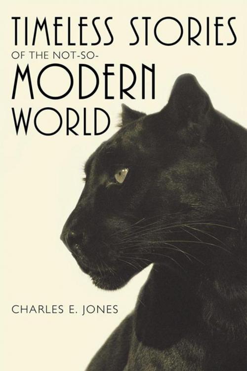 Cover of the book Timeless Stories of the Not-So-Modern World by Charles E. Jones, iUniverse