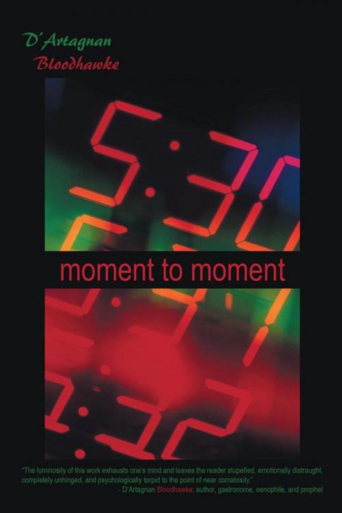 Cover of the book Moment to Moment by D'Artagnan Bloodhawke, iUniverse