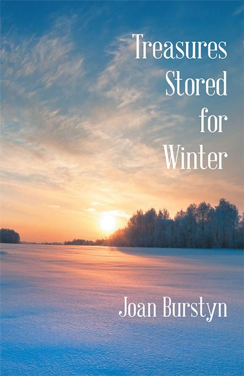 Cover of the book Treasures Stored for Winter by Joan Burstyn, iUniverse