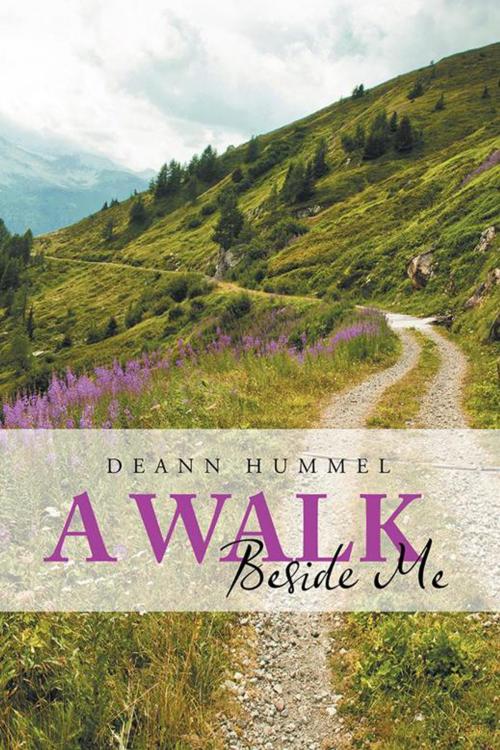 Cover of the book A Walk Beside Me by Deann Hummel, iUniverse
