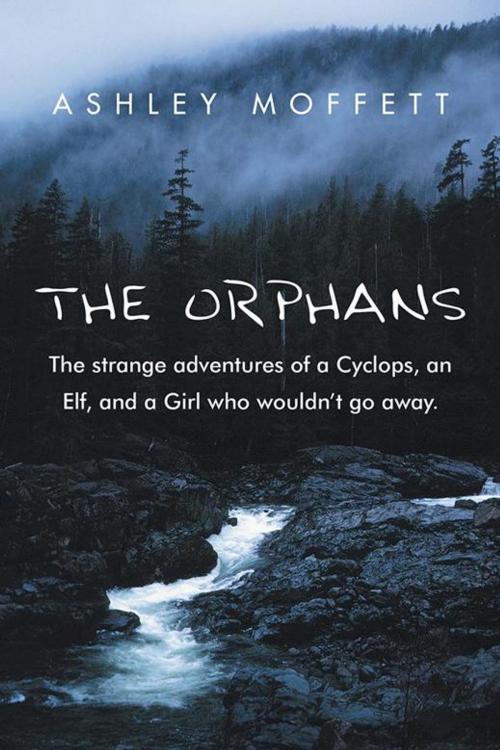 Cover of the book The Orphans by Ashley Moffett, AuthorHouse