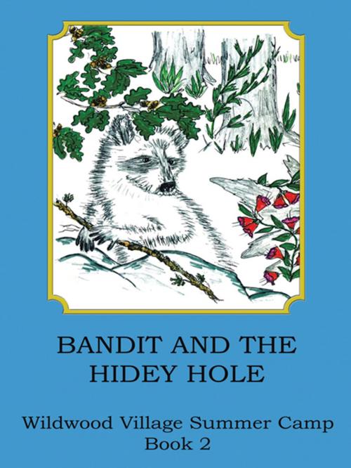 Cover of the book Bandit and the Hidey Hole by Joann Ellen Sisco, AuthorHouse