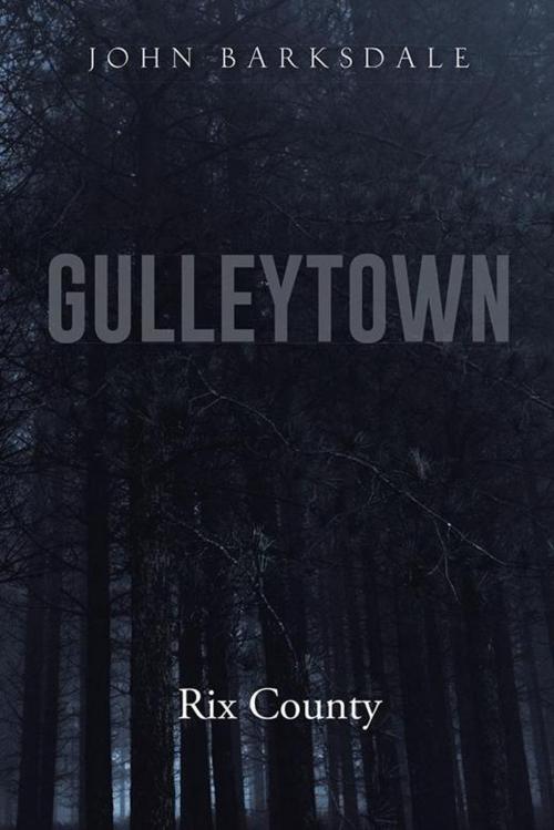 Cover of the book Gulleytown by JOHN BARKSDALE, AuthorHouse