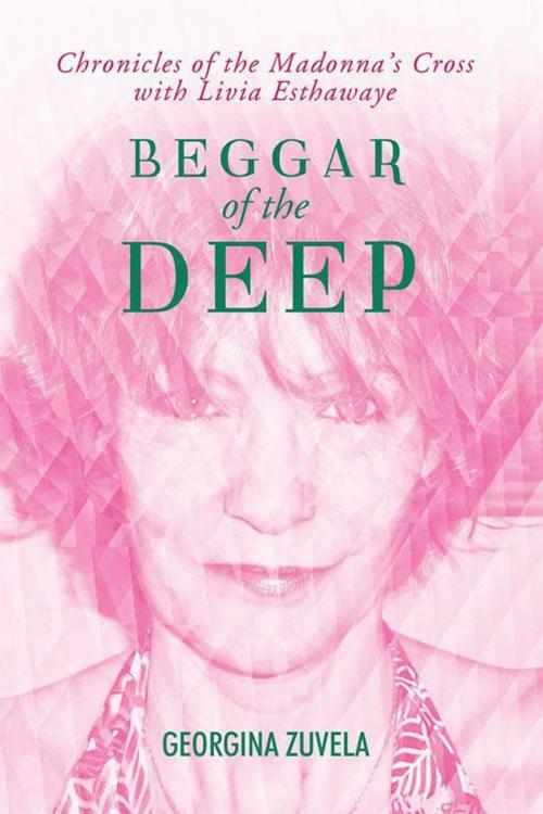 Cover of the book Beggar of the Deep by Georgina Zuvela, Xlibris AU