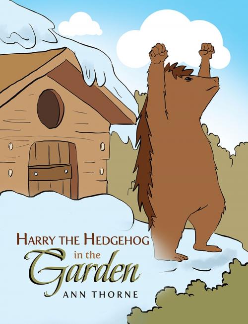 Cover of the book Harry the Hedgehog in the Garden by Ann Thorne, Xlibris UK