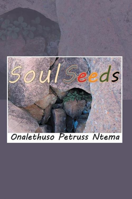Cover of the book Soul Seeds by Onalethuso Petruss Ntema, Xlibris UK