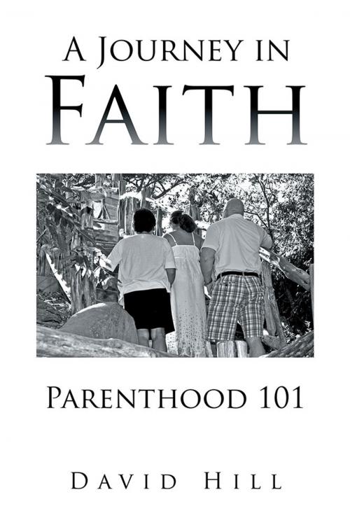 Cover of the book A Journey in Faith Parenthood 101 by David Hill, Xlibris US
