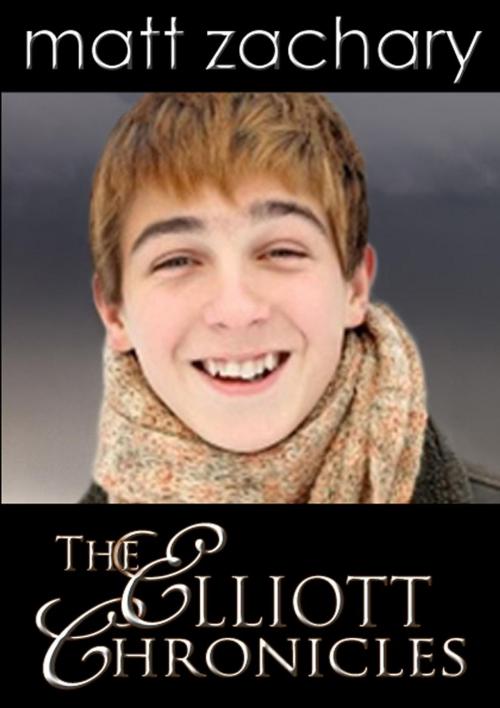 Cover of the book The Elliott Chronicles: Box Set by Matt Zachary, Porterlance Books