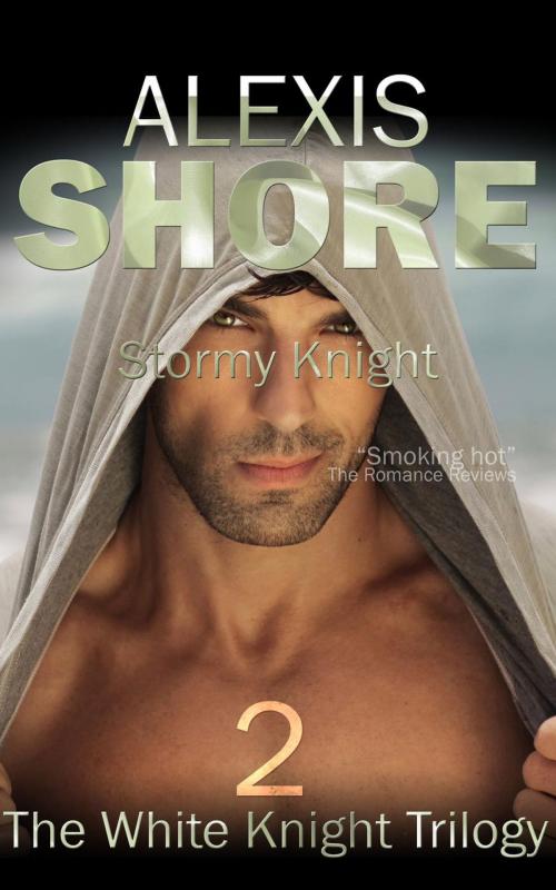 Cover of the book Stormy Knight by Alexis Shore, Alexis Shore