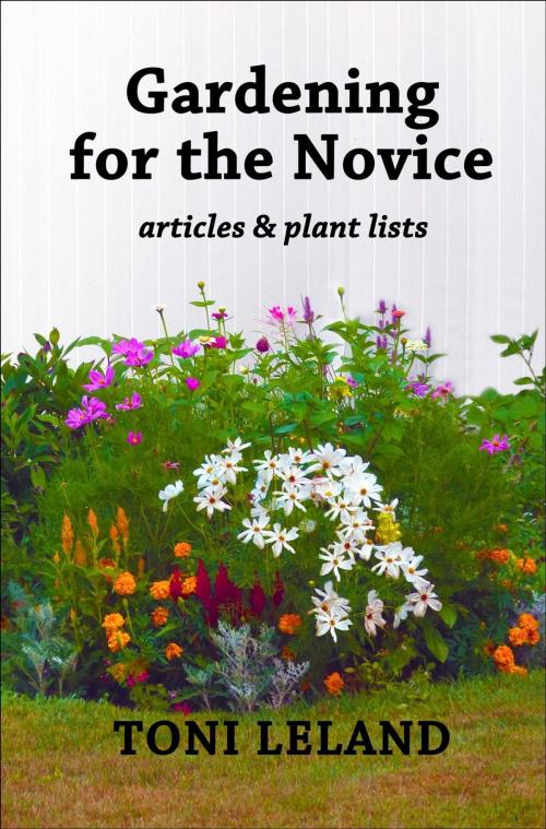 Cover of the book Gardening for the Novice by Toni Leland, Equine Graphics Publishing Group/Parallel Press