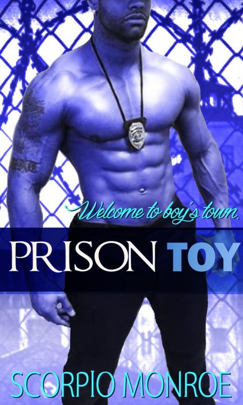 Cover of the book Prison Toy by Scorpio Monroe, Erotica Moments Press