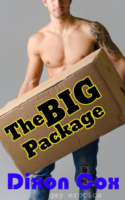Cover of the book The Big Package by Dixon Cox, Dirty Eros
