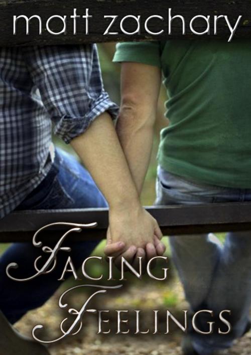 Cover of the book Facing Feelings by Matt Zachary, Porterlance Books