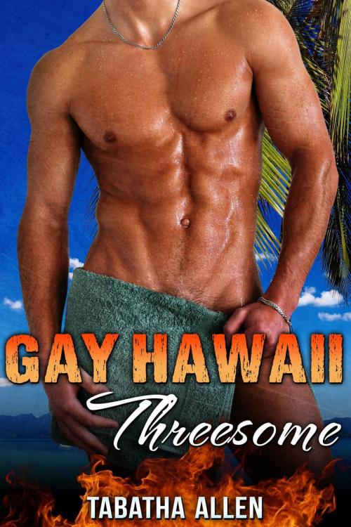 Cover of the book Gay Hawaii Threesome by Tabatha Allen, Tabatha Allen