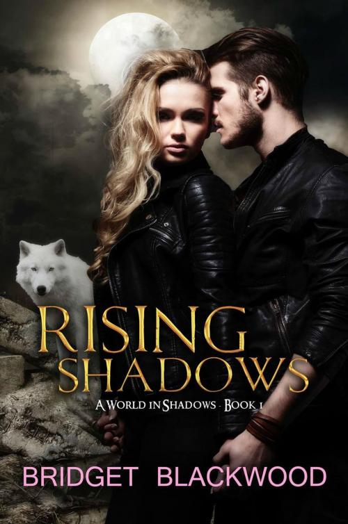 Cover of the book Rising Shadows by Bridget Blackwood, Bridget Blackwood