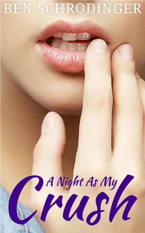 Cover of the book A Night As My Crush by Ben Schrodinger, Ben Schrodinger