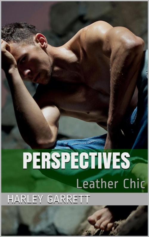 Cover of the book Perspectives by Harley Garrett, Langley's Lovelies