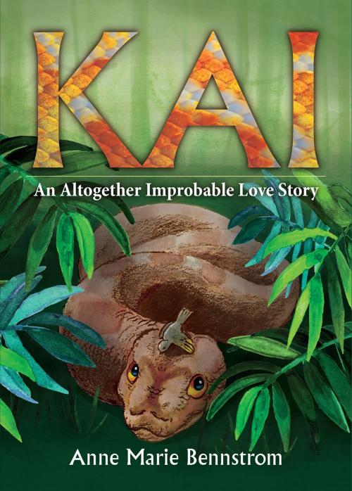 Cover of the book Kai by Anne Marie Bennstrom, Beyond Words Publishing