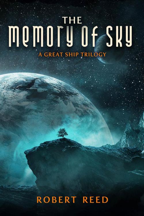 Cover of the book The Memory of Sky by Robert Reed, Prime Books