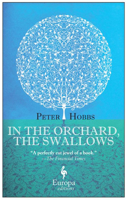Cover of the book In the Orchard, the Swallows by Peter Hobbs, Europa Editions