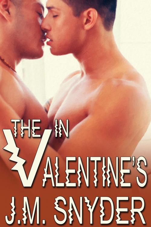 Cover of the book V: The V in Valentine's by J.M. Snyder, JMS Books LLC