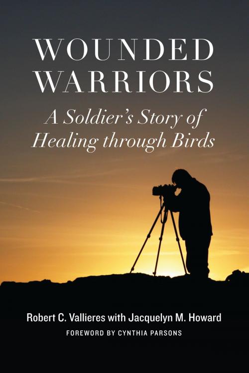 Cover of the book Wounded Warriors by Robert C. Vallers, Jacquelyn M. Howard, Potomac Books Inc.