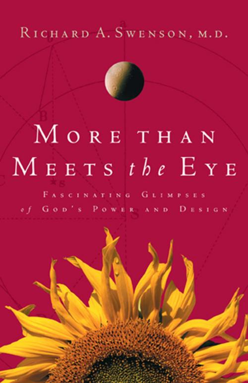 Cover of the book More Than Meets the Eye by Richard Swenson, The Navigators