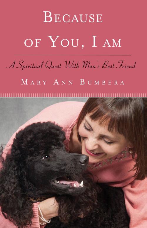 Cover of the book Because of You, I Am by Mary Anne Bumbera, Red Wheel Weiser