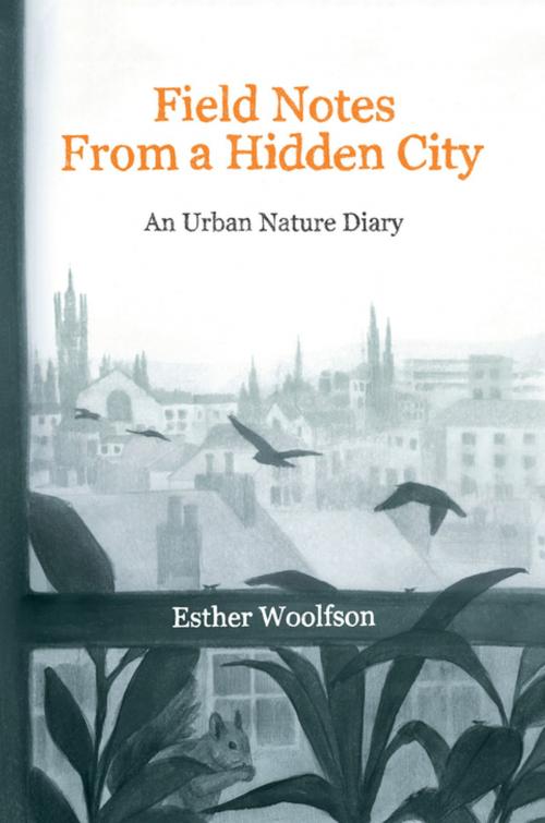 Cover of the book Field Notes from a Hidden City by Esther Woolfson, Counterpoint