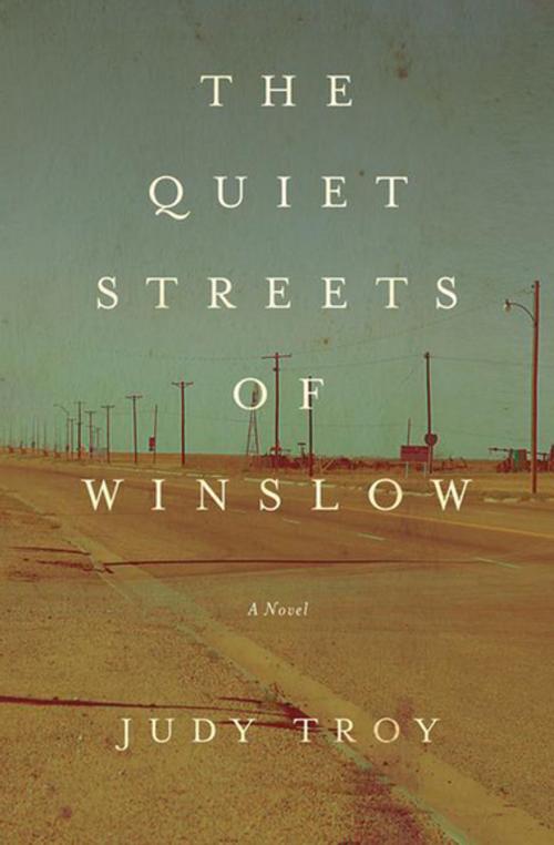 Cover of the book The Quiet Streets of Winslow by Judy Troy, Counterpoint Press