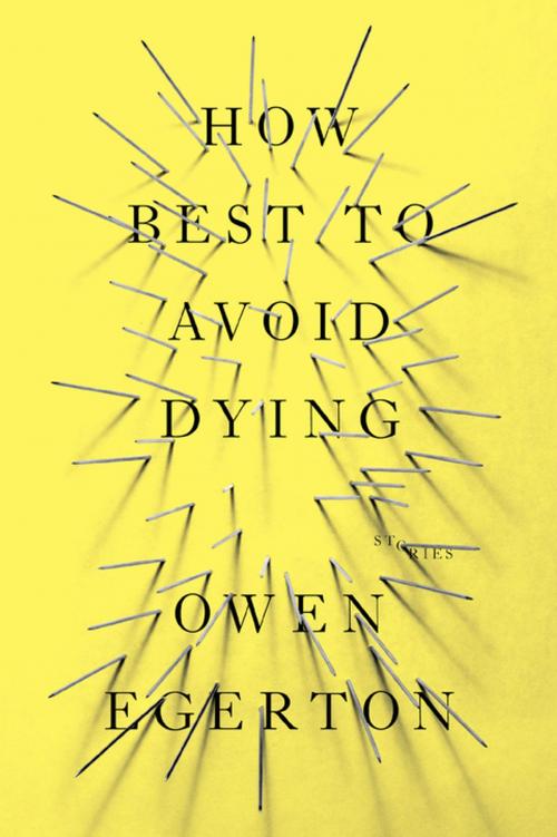 Cover of the book How Best To Avoid Dying by Owen Egerton, Soft Skull Press