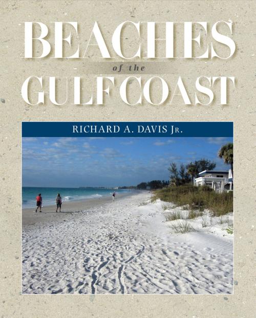 Cover of the book Beaches of the Gulf Coast by Richard A. Davis Jr., Texas A&M University Press