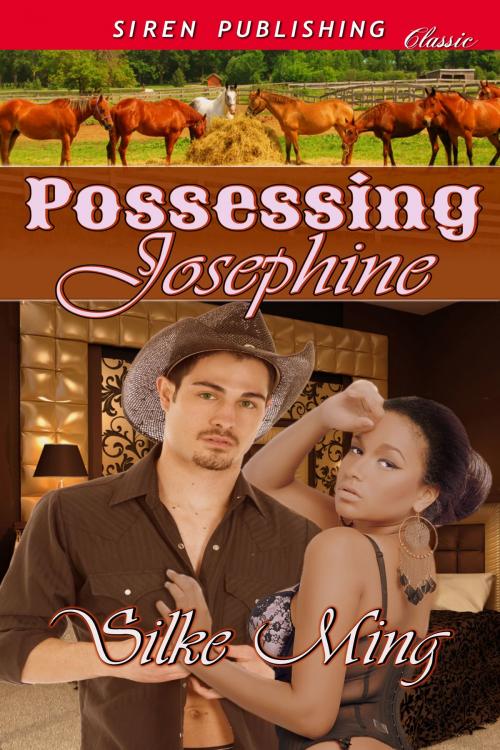 Cover of the book Possessing Josephine by Silke Ming, Siren-BookStrand