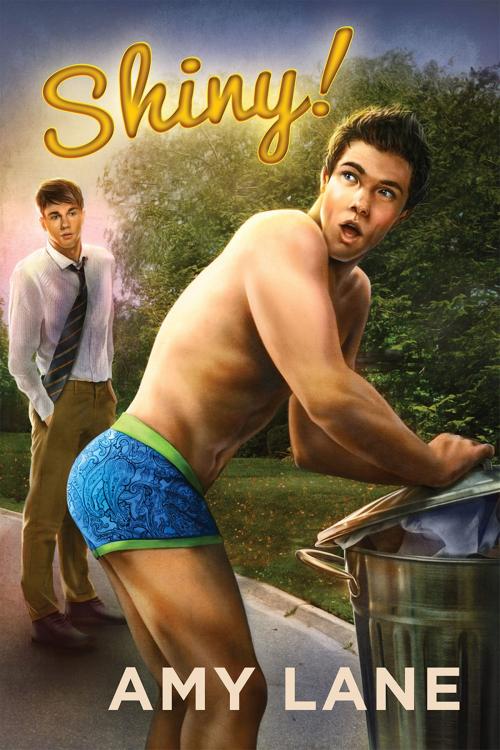 Cover of the book Shiny! by Amy Lane, Dreamspinner Press