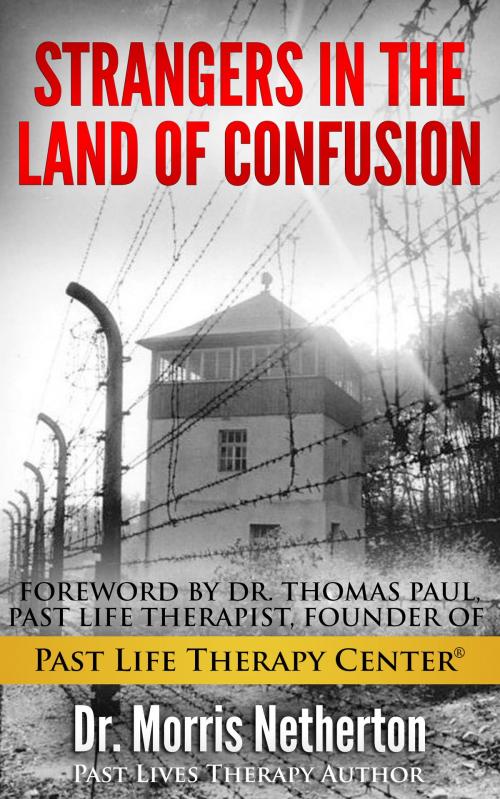 Cover of the book Strangers In The Land Of Confusion: Past Lives Regression Therapy with Past Life Therapy Center by Dr. Morris Netherton, Dr. Morris Netherton