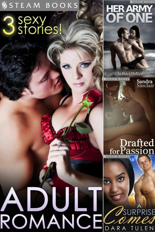 Cover of the book ADULT ROMANCE - 3 Sexy Stories! by Laura Lovely, Sandra Sinclair, Dara Tulen, Steam Books
