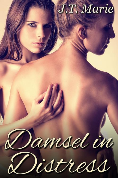 Cover of the book Damsel in Distress by J.T. Marie, JMS Books LLC