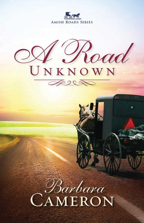 Cover of the book A Road Unknown by Barbara Cameron, Abingdon Fiction