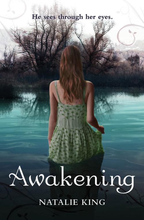 Cover of the book Awakening by Natalie King, Penguin Books Ltd