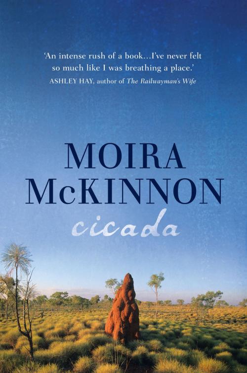 Cover of the book Cicada by Moira McKinnon, Allen & Unwin