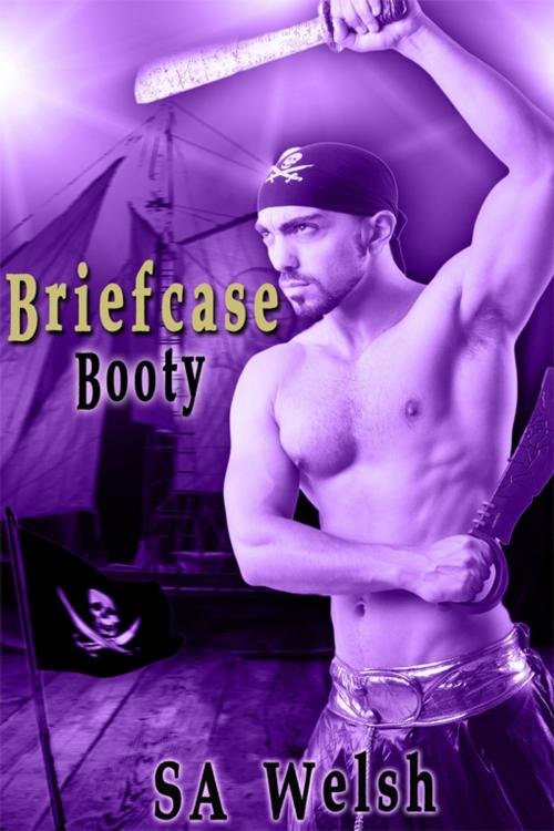 Cover of the book Briefcase Booty by SA Welsh, eXtasy Books Inc