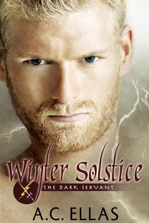 Cover of the book Winter Solstice by A.C. Ellas, eXtasy Books Inc