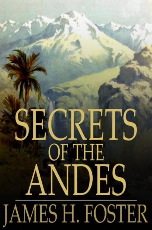 Cover of the book Secrets of the Andes by James H. Foster, The Floating Press