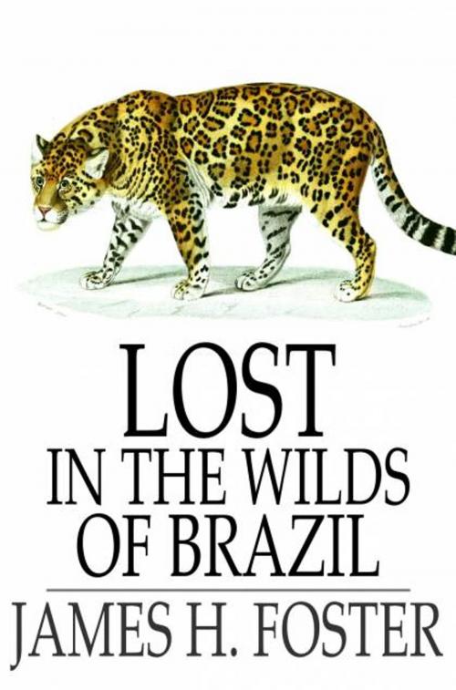 Cover of the book Lost in the Wilds of Brazil by James H. Foster, The Floating Press