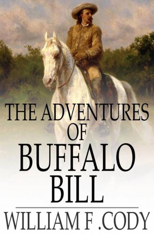 Cover of the book The Adventures of Buffalo Bill by William F. Cody, The Floating Press