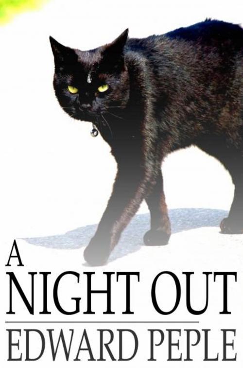 Cover of the book A Night Out by Edward Peple, The Floating Press