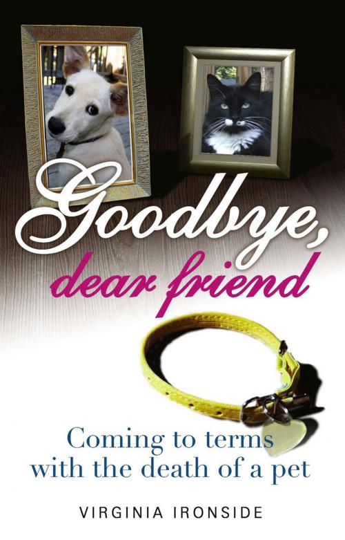 Cover of the book Goodbye, Dear Friend by Virginia Ironside, Aurum Press