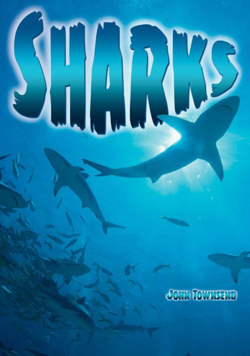 Cover of the book Sharks by John Townsend, Badger Learning