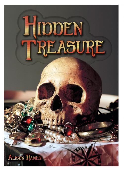 Cover of the book Hidden Treasure by Alison Hawes, Badger Learning